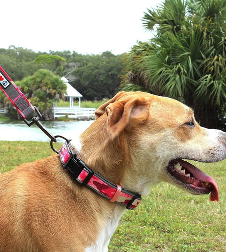 Camouflage Dog Collar Padded Dog Collar Reflective Dog Collar Puppy Collar Training Dog Collar Neoprene Collar Behavioral Dog Collar Camo Dog Collar