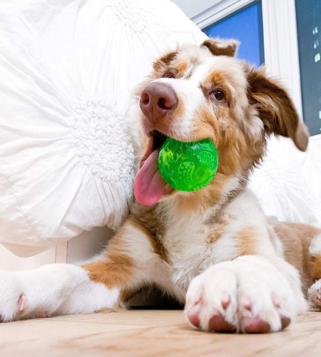 Durasqueak Dog Ball Dog Toys (Interactive Dog Toys That Float&Squeak) Squeaky Dog Toys&Dog Balls for Playing,Fetching&Retrieving-Great Alternative to Traditional Tennis Balls Green 2.5 Inch