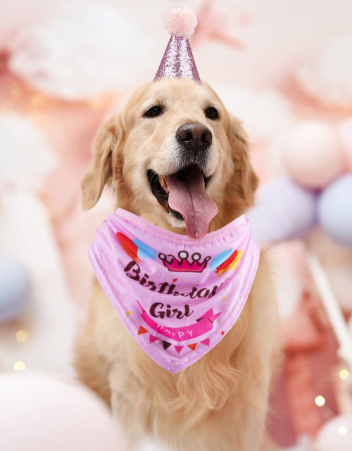 Load image into Gallery viewer, Dog Birthday Party Supplies Bandana Hat Banner Set Boy Girl Cute Bow Tie Scarf Dog Birthday Decorations (Pink，Dog Girl)
