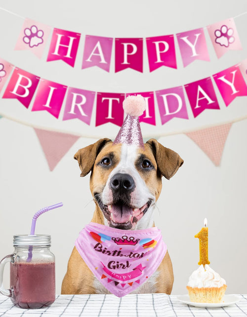 Load image into Gallery viewer, Dog Birthday Party Supplies Bandana Hat Banner Set Boy Girl Cute Bow Tie Scarf Dog Birthday Decorations (Pink，Dog Girl)
