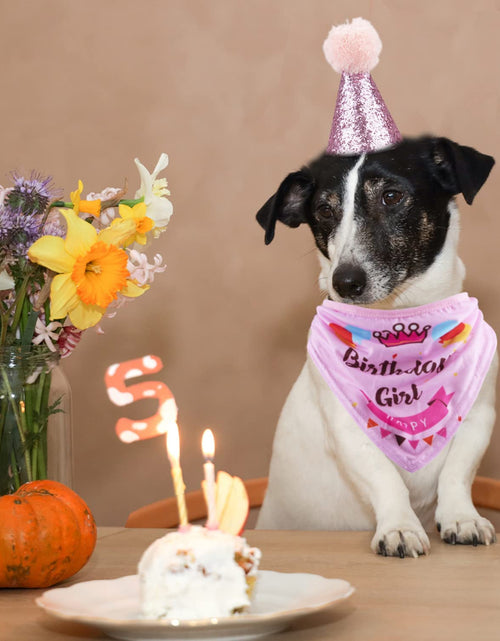 Load image into Gallery viewer, Dog Birthday Party Supplies Bandana Hat Banner Set Boy Girl Cute Bow Tie Scarf Dog Birthday Decorations (Pink，Dog Girl)
