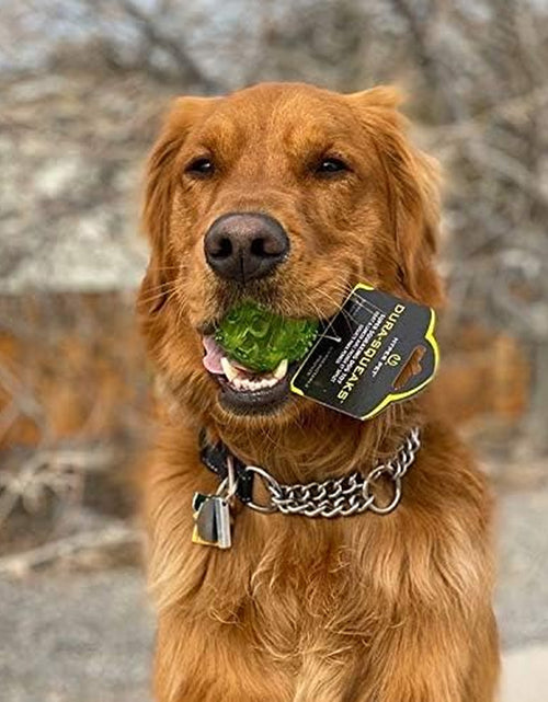 Load image into Gallery viewer, Durasqueak Dog Ball Dog Toys (Interactive Dog Toys That Float&amp;Squeak) Squeaky Dog Toys&amp;Dog Balls for Playing,Fetching&amp;Retrieving-Great Alternative to Traditional Tennis Balls Green 2.5 Inch
