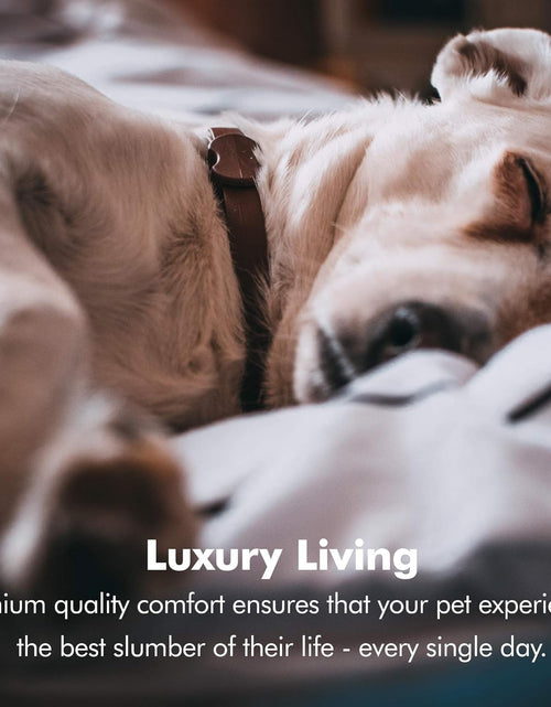Load image into Gallery viewer, Small Dog Bed, Orthopedic Dog Sofa Memory Foam Mattress, Calming Dog Couch Bed, Wall Rim Pillow, Water Resistant Liner, Washable Cover, Non-Slip Bottom, Chester, Small Khaki Beige

