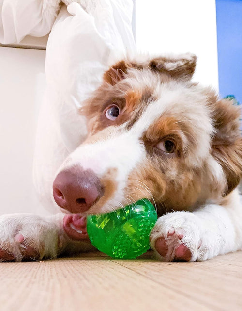 Load image into Gallery viewer, Durasqueak Dog Ball Dog Toys (Interactive Dog Toys That Float&amp;Squeak) Squeaky Dog Toys&amp;Dog Balls for Playing,Fetching&amp;Retrieving-Great Alternative to Traditional Tennis Balls Green 2.5 Inch
