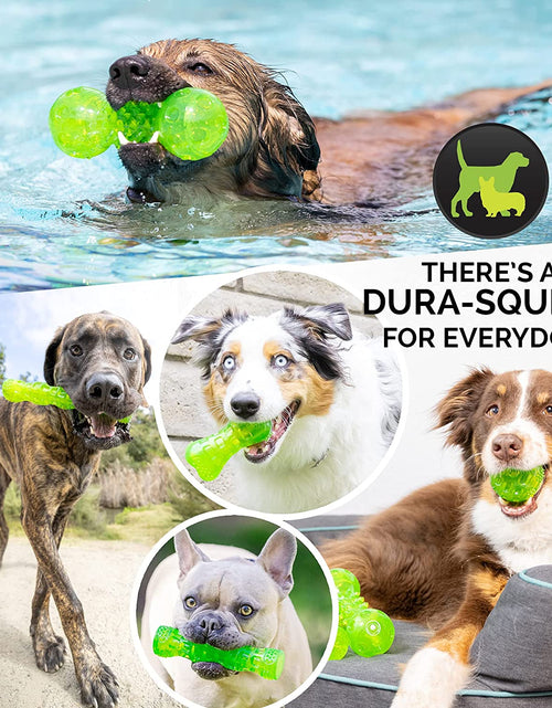 Load image into Gallery viewer, Durasqueak Dog Ball Dog Toys (Interactive Dog Toys That Float&amp;Squeak) Squeaky Dog Toys&amp;Dog Balls for Playing,Fetching&amp;Retrieving-Great Alternative to Traditional Tennis Balls Green 2.5 Inch
