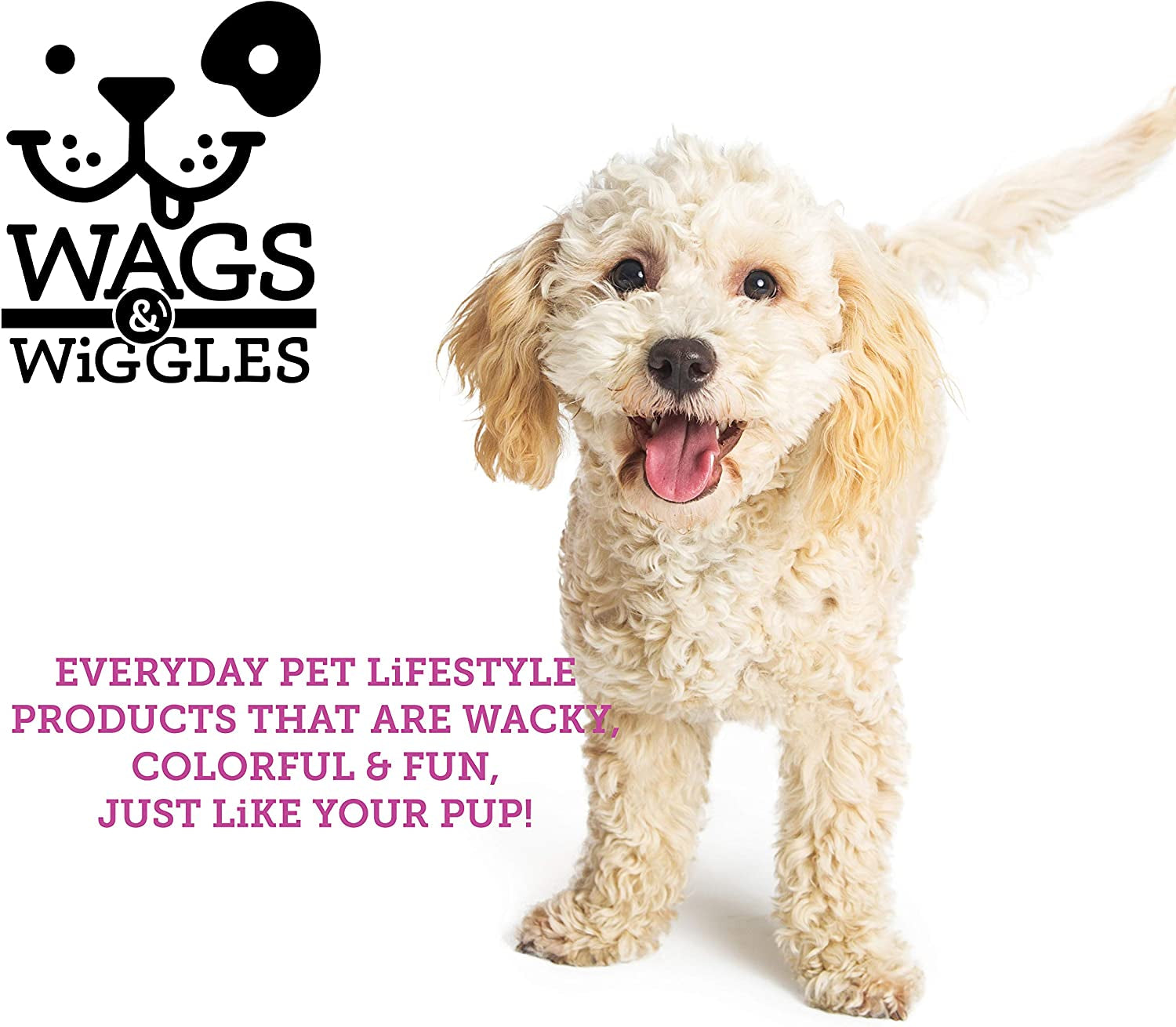 Dog Grooming Supplies - Dog Bristle Brush for Dogs - Dog Nail Clippers - Bristle Brush Dog Brushes for Grooming, Dog Grooming Tools from Wags and Wiggles Brush, Pet Slicker Dog Brush