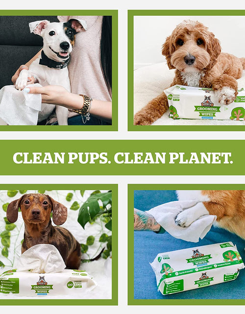 Load image into Gallery viewer, Pogi'S Grooming Wipes - Hypoallergenic Pet Wipes for Dogs &amp; Cats - Plant-Based, Earth-Friendly, Deodorizing Dog Wipes
